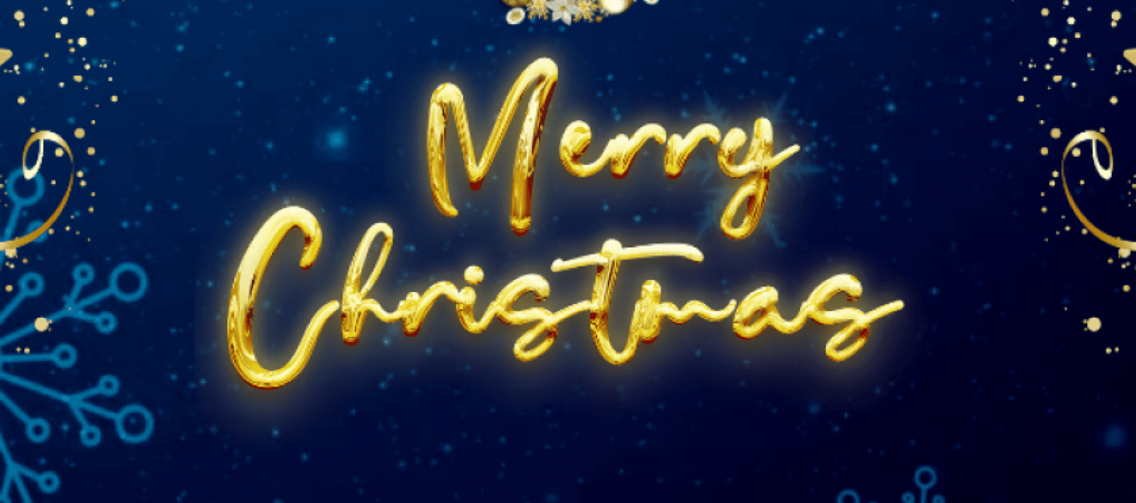 Merry Christmas from FH Trade team