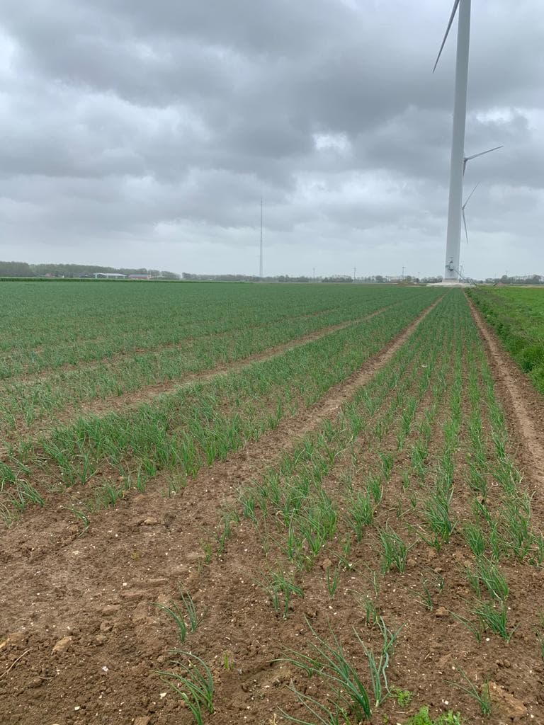 Visit to a supplier from the Netherlands